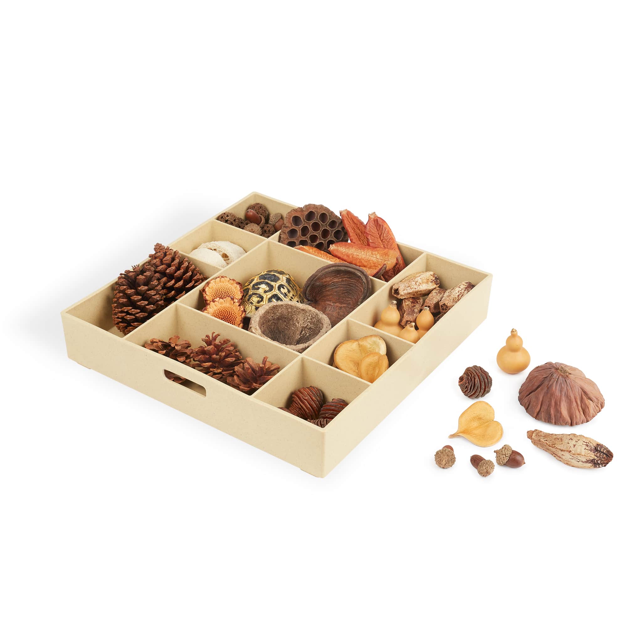 Nature's Geometry Loose Parts STEM Kit