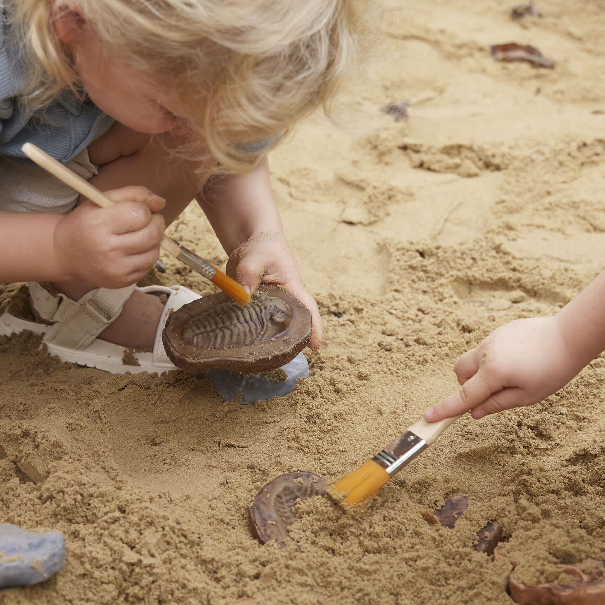 Magnetic Matching Fossil Stones - Set of 6