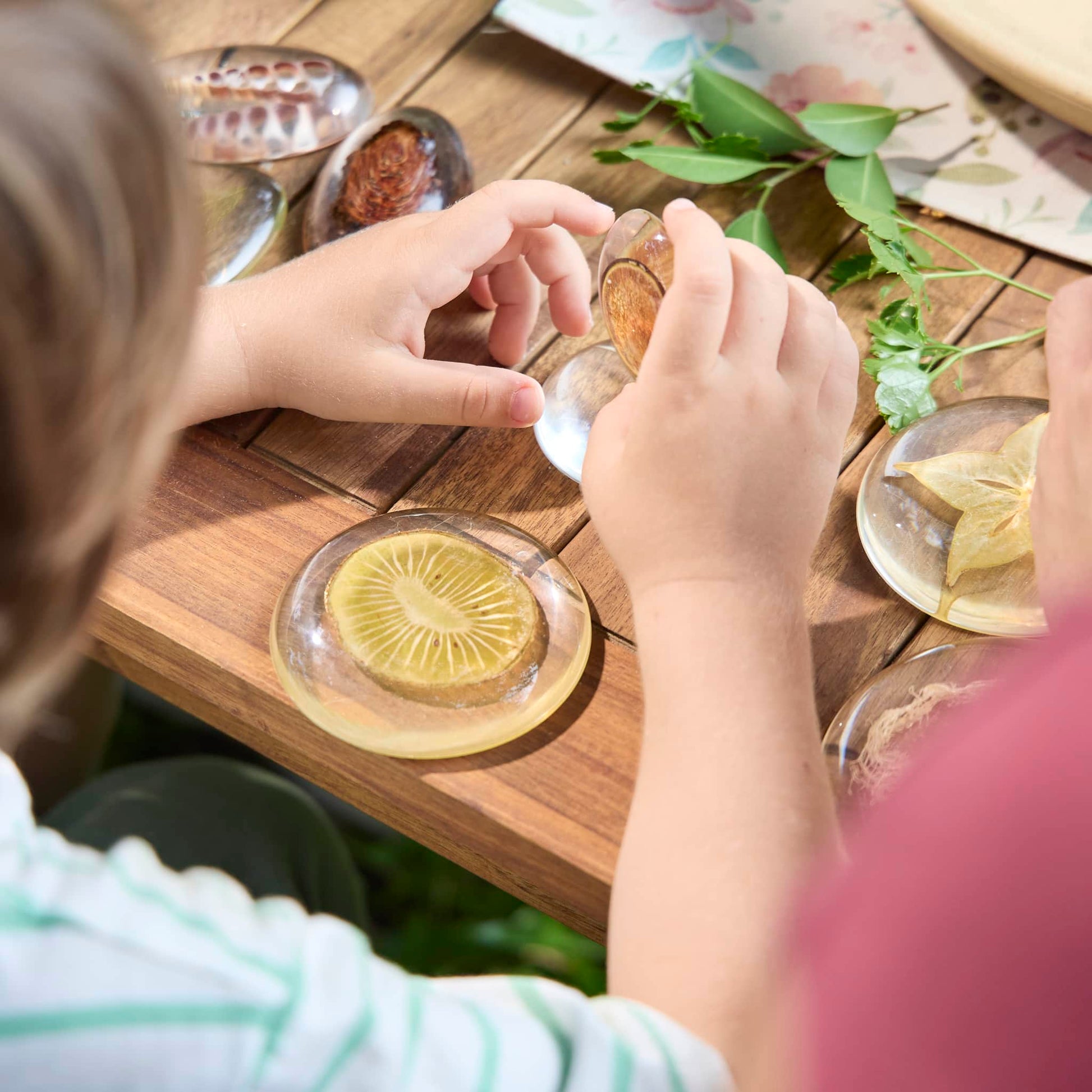Acrylic Nature's Cross Sections