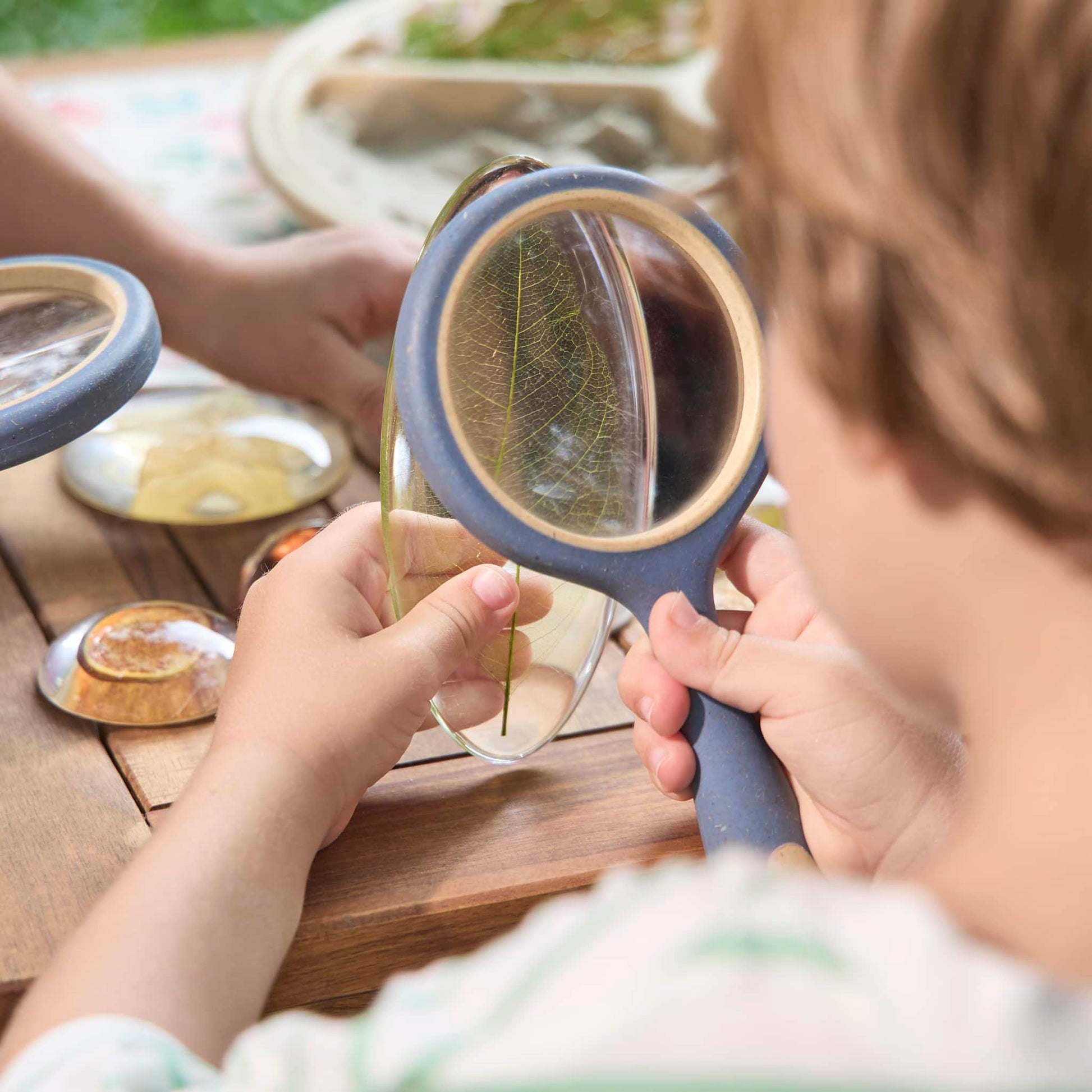 Acrylic Nature's Cross Sections