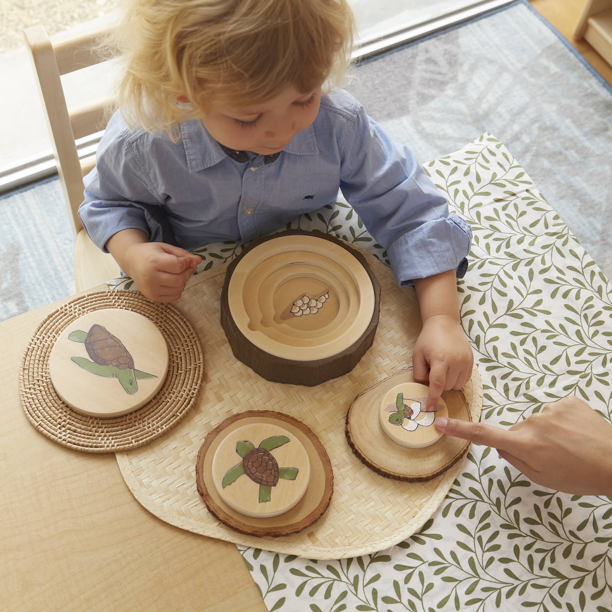 Lifecycle Puzzles - Set of 3