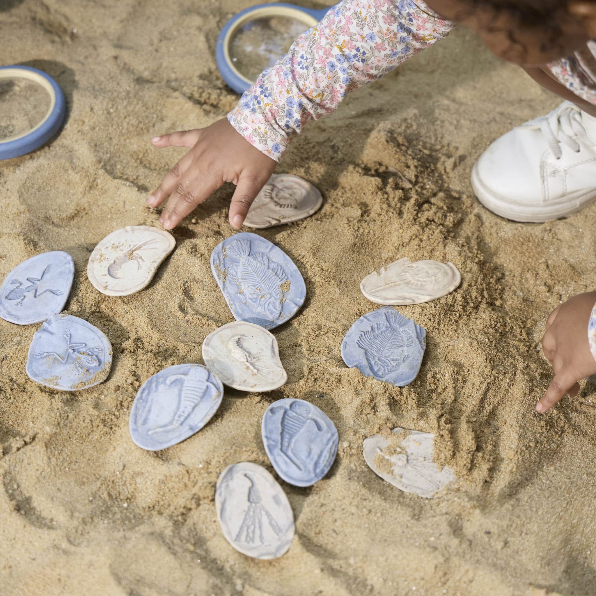 Magnetic Matching Fossil Stones: Aquatic Life - Set of 8