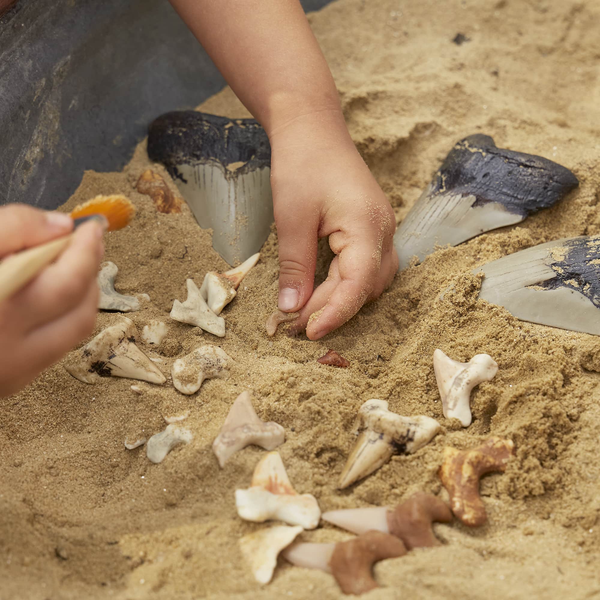 Super Shark Teeth Set - 40 pieces