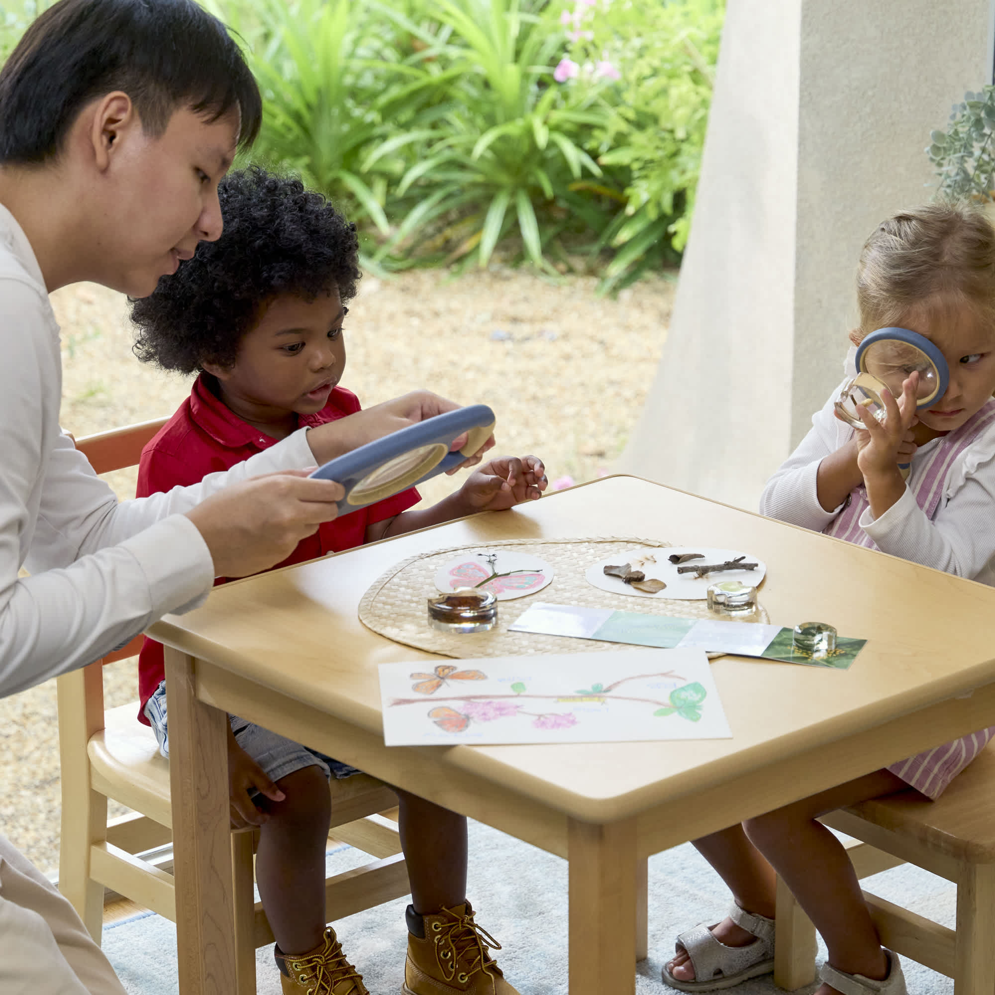 Specimen Life Cycle Puzzles